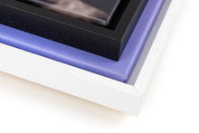 Load image into Gallery viewer, Framed Canvas prints